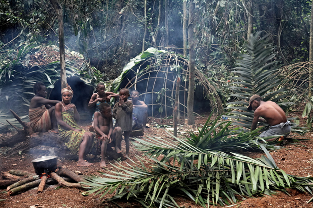 Photographic expedition from Yaoundé to Libreville